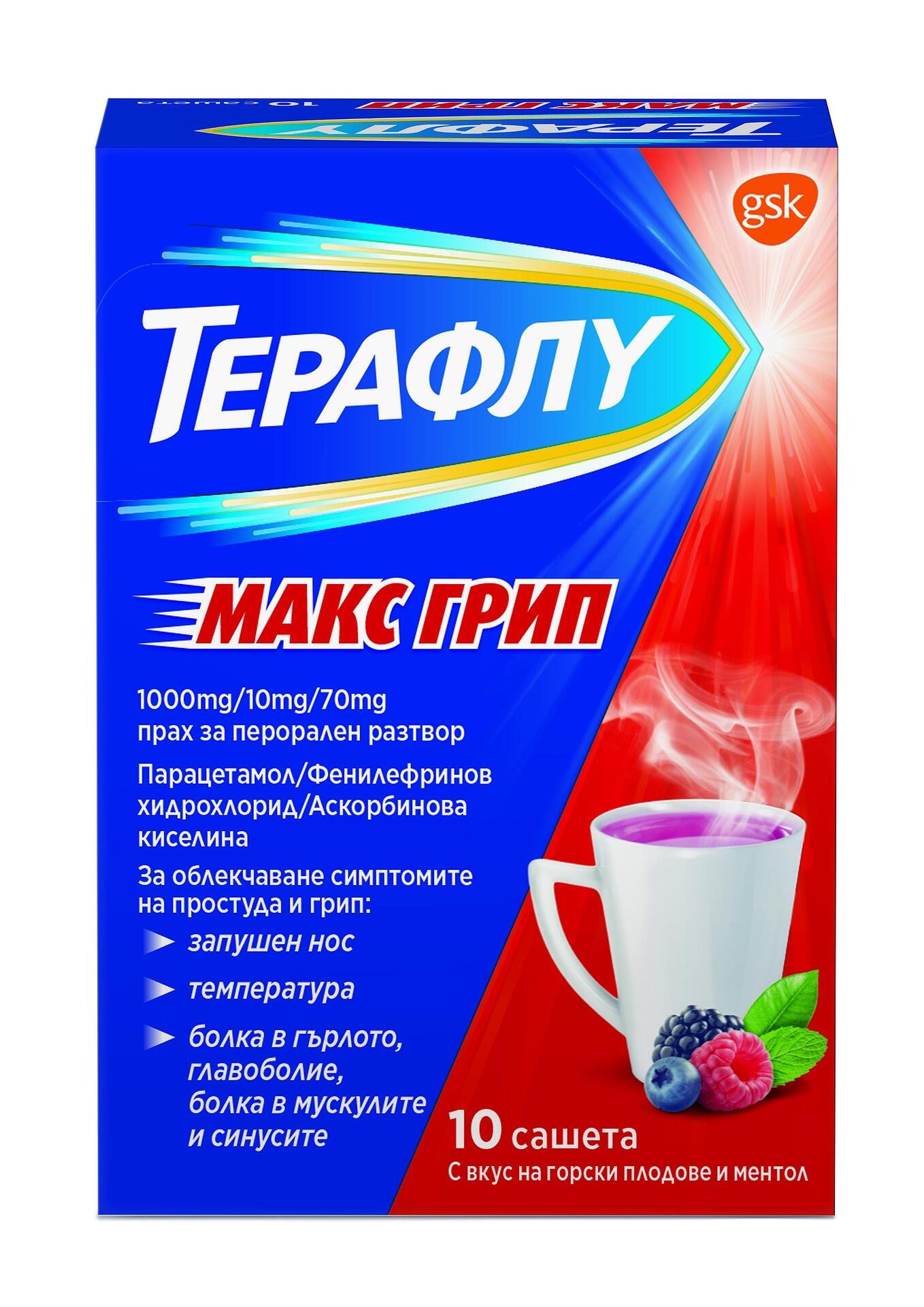 ТЕРАФЛУ МАКС Простуда и кашлица Саше х 10