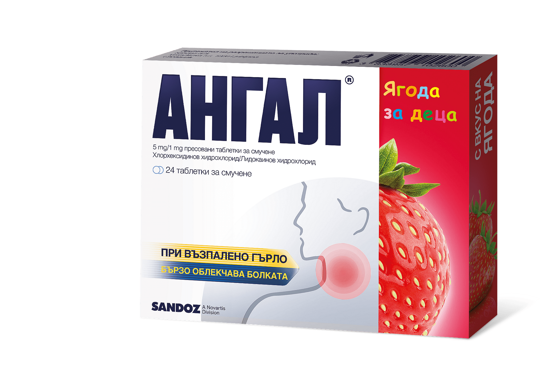 АНГАЛ ЯГОДА ЗА ДЕЦА ТАБЛ. Х 24